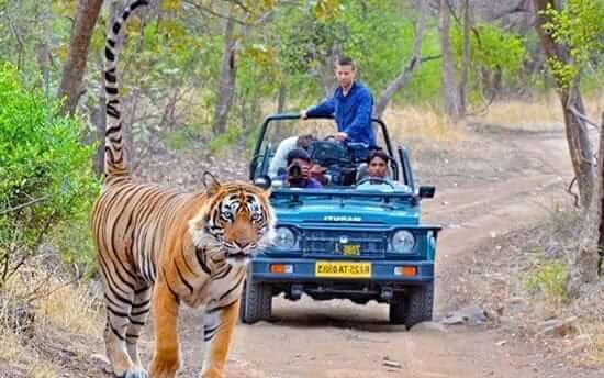ranthambhore fort